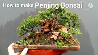 จัดบอนไซสวนถาดย่อธรรมชาติไว้ในกระถาง / How to make penjing bonsai