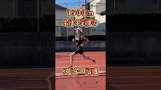 【1500m】4分45秒のスピード感はこんな感じ！ #1500m #持久走 #マラソン #陸上