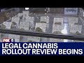 Legal cannabis rollout review begins