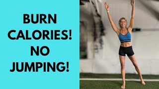 10 Minute Low Impact HIIT For Beginners- Burn Fat Without Hurting Your Joints!