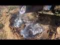 Enormous￼ Fire Ant Colony With Molten Aluminum (Anthill Art) #2