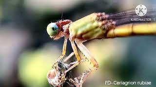 ছবির খিদে মেটাতে হাত পেতেছিলাম জঙ্গলের কাছে, তারপর প্রকৃতি যেভাবে মেটালো আমার খিদে 😦