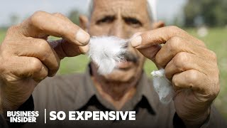 Why Real Egyptian Cotton Is So Expensive | So Expensive | Business Insider