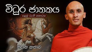 366. විධුර ජාතකයේ වත්මන් කථාව | විධුර ජාතකය 1 | 2024-06-08