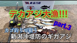 【両軸遠投カゴ釣り】③デカアジ大漁！新潟沖堤防のデカアジ part.3