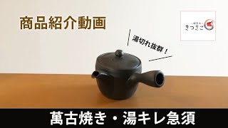 【 きつさこ商品 】コスパ良し！「湯キレ急須」の外観や湯切れを実際にチェック！