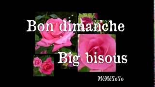 bon dimanche rose