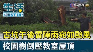 古坑午後雷陣雨宛如颱風 校園樹倒壓教室屋頂【生活資訊】