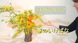 【春のお花・ミモザアカシア】_オレンジのガーベラといける_Spring flower