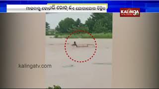 Flood situation in Boriguma, Koraput : Pickup Van gets washed away | Kalinga TV