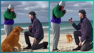 Top 25 Surprise Marriage Proposals (The Most Romantic Wedding Proposal Of All Time)