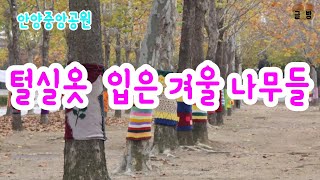 멋진 털실옷 입은 나무들, 참 이쁘죠?(Trees in woolen clothes)  글빵^^