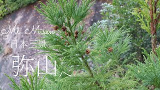 弥山の自然🏔️🌨️安芸の宮島 登山道の大聖院コースへ！🌈❄️🍁 登山道入口～途中（８合目くらい）まで