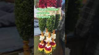 Varieties flowers with cheapest price in chikpet ,Bengaluru #chikpet #bengaluru #flowers #youtube