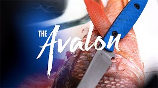 The Avalon Fillet Knife