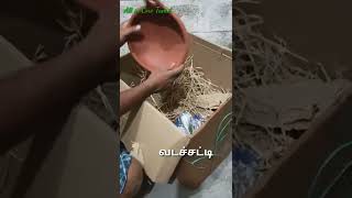 மண் பாத்திரம்/Mud vessels/Clay cookwares/#shorts