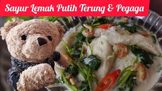 SAYUR LEMAK PUTIH TERUNG & PEGAGA || masakan kampung istimewa