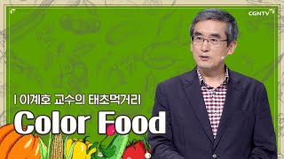 Color Food | 이계호 교수 | 이계호 교수의 태초먹거리 | 5편