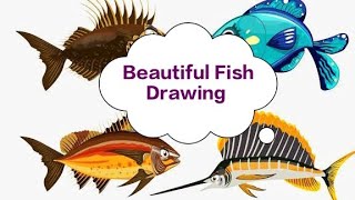 fish drawing  || fish drawing and colouring