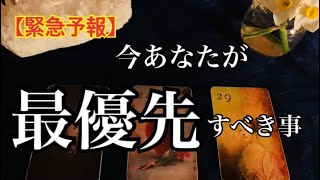 【重要🌸】今🌟あなたが最も優先すべき事❤️🌈恐ろしいほど当たるルノルマン🔮