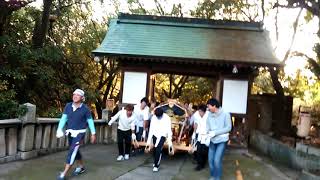 ちょっさ 六島 大鳥神社祭 神輿