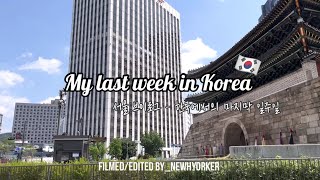 My last week in Korea 🇰🇷 | 3주 60끼 다 푼다