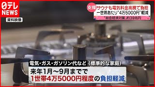 【総額39兆円】「総合経済対策」生活しやすくなる？  「国の財政悪化」リスク指摘も…