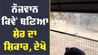 ਸ਼ੇਰਾਂ ਵੱਲੋਂ ਨੌਜਵਾਨ ਨੂੰ ਮਾਰਨ ਦਾ ਦੇਖੋ Live video