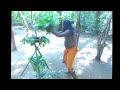 kiri koraha dance කිරි කොරහ නර්තනය හොදයිද