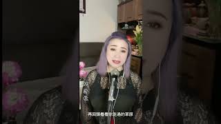 我是你的格桑花 #代沛宸 #最火歌曲 #翻唱 #經典好歌 #cover #網紅歌曲 #代沛誼 #代曉慧