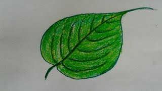 how to draw single pipal leaf || how to draw a leaf step by step || how to draw a leaf easy