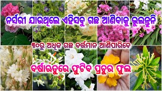 ନର୍ସରୀ ଯାଉଥିଲେ ନେଇଆସନ୍ତୁ ଏହିସବୁ ଗଛ l ୩୦ରୁ ଅଧିକ ଗଛ ବର୍ଷା ଋତୁରେ ଫୁଟିବ ପ୍ରଚୁର ଫୁଲ l ବର୍ଷାରେ ବି ରହିପାରିବ