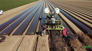 Preparando la Tierra para plantar fresa🍓en Rancho Gabino Duran