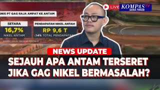Ekonom Bongkar Korelasi Saham Antam dan Polemik Tamabng PT Gag Nikel di Raja Ampat