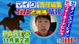 ダノンスコーピオンに注目！／マイク責任編集～有力2歳馬情報