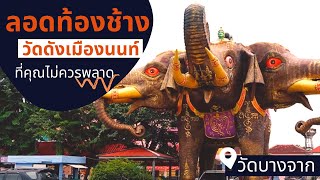 ลอดท้องช้างวัดดังเมืองนนท์ #วัดบางจาก จังหวัดนนทบุรี