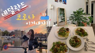 eng) 🇳🇱 네덜란드 유학생의 10월 | 암스테르담 대학교 대학생 | 시험 끝난 후 | ZARA 하울, 르라보 오일향수, 잔치국수, 잡채, 돼지 불고기, 샐러드 파스타