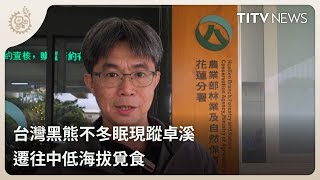 台灣黑熊不冬眠現蹤卓溪 遷往中低海拔覓食｜每日熱點新聞｜原住民族電視台