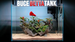 How to Build a Buce Betta Tank (Aquascape Tutorial)