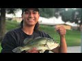 local pond fishing la mirada regional park