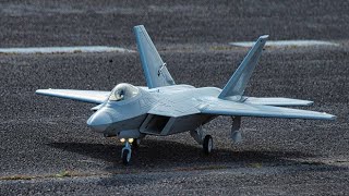 Flying At Fritz Field 9 January 2025 New Freewing F-22A 80mm Maiden SonyCAM