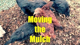 Moving the Mulch