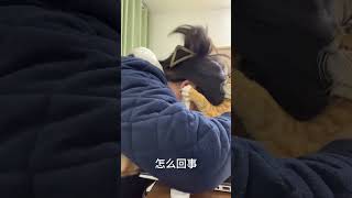 小猫咬人不要怕😈萌宠出道计划 猫咪 橘猫 猫咪的迷惑行为