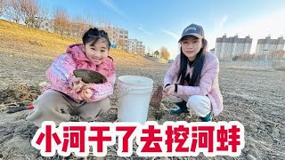 小河沟干了，泥里的河蚌跟白捡似的，一个接一个挖的太爽了