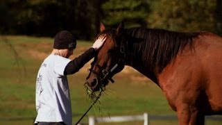 Vietnam Vet Uses Horses to Help Returning Soldiers Heal