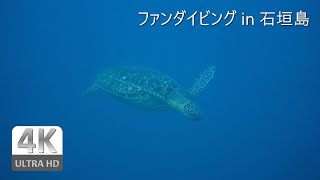 [4K][GoPro HERO7]石垣島 ファンダイビング | 2021 Day2