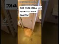 the taco bell has found its new janitor tacobell