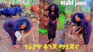 የራያዋ ቀበጥ ማሂ ጃኖ | ባህሏን የምትወድ ቆንጆ የራያ ልጅ #mahijano #hafaraya