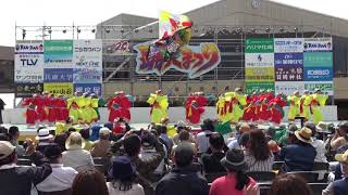 【夢舞隊2018】踊っこまつり 本部競演場①