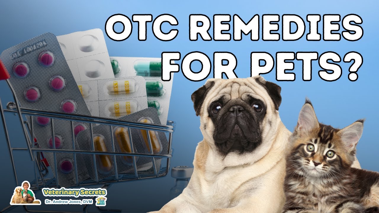7 Otc Human Medications Safe And Effective For Dogs Dog News Web